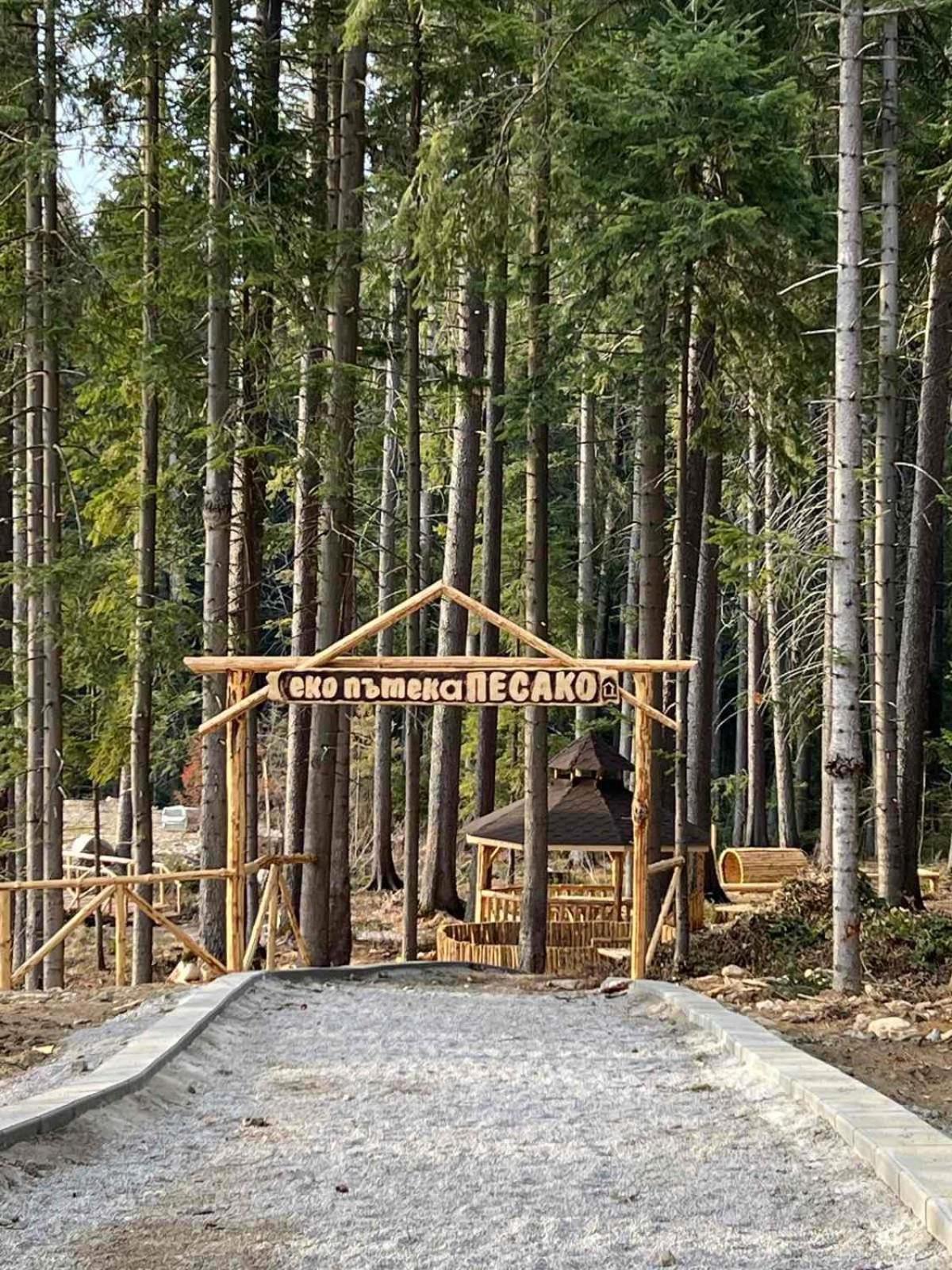 Arboro Royal Plaza Apartman Borovec Kültér fotó